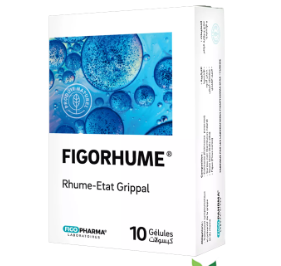 FIGORHUME 10 COMP
